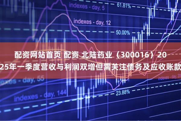 配资网站首页 配资 北陆药业（300016）2025年一季度营收与利润双增但需关注债务及应收账款