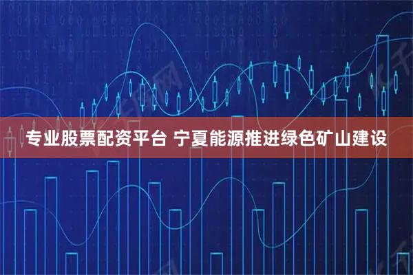 专业股票配资平台 宁夏能源推进绿色矿山建设